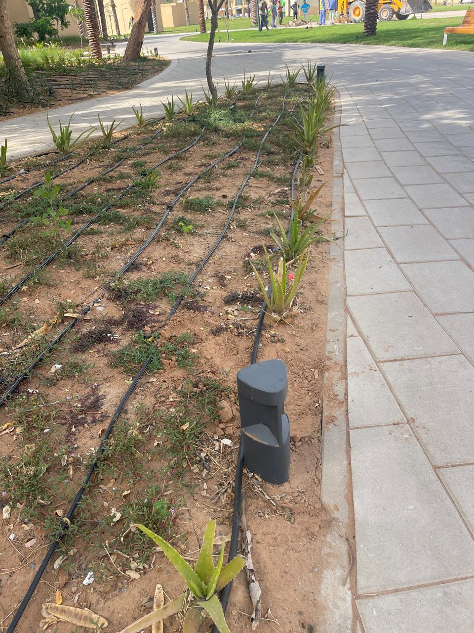 Landscaping with Al Bania 20